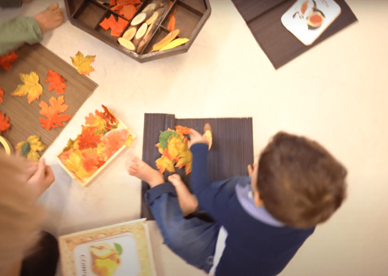 partenaire petite enfance formation accompagnement parentalité grand est luxembourg